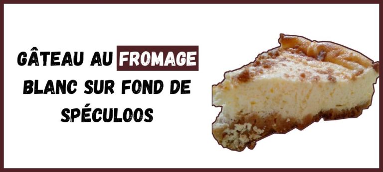 Gâteau au fromage blanc sur fond de spéculoos