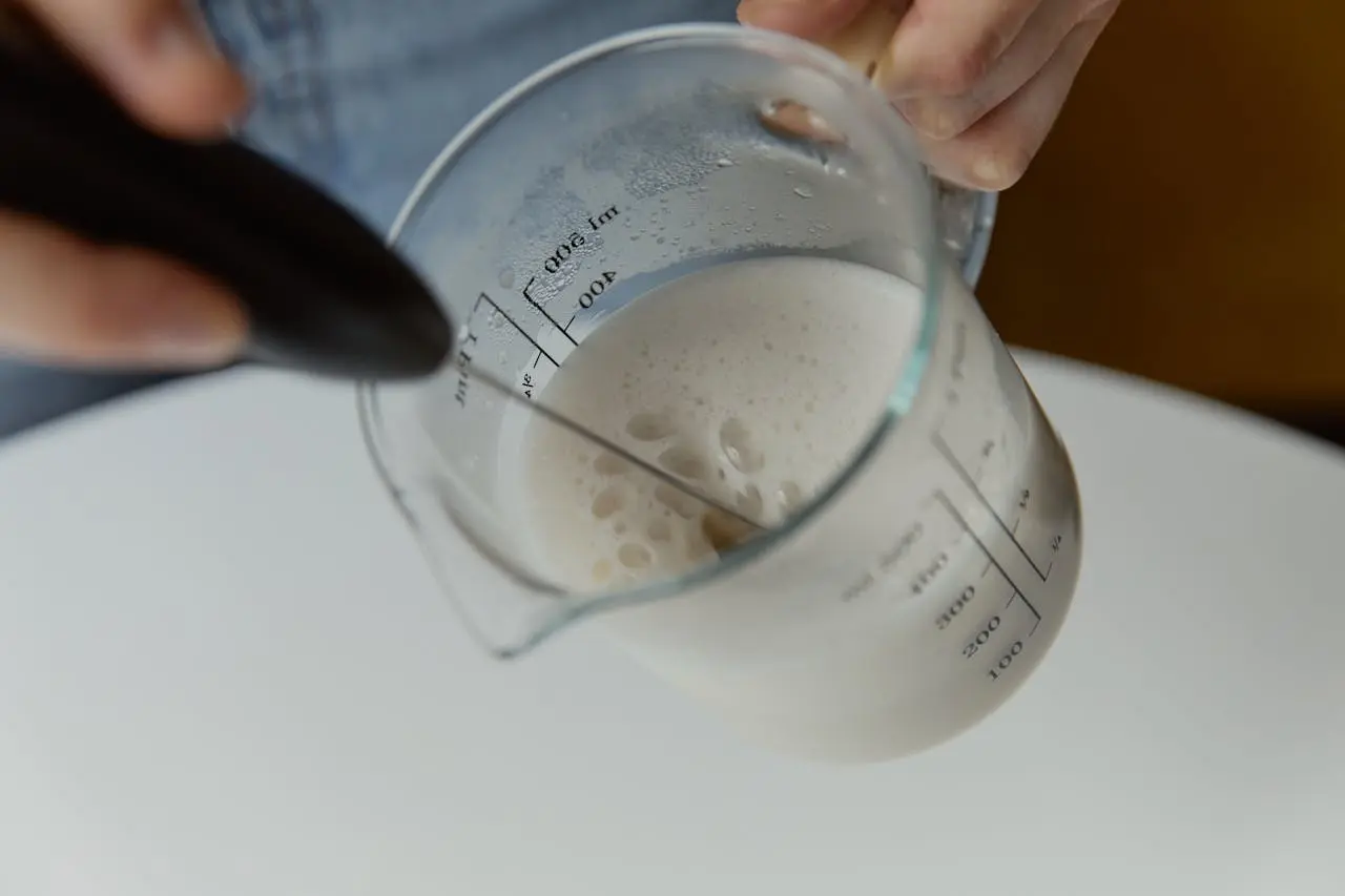 Comment choisir son mousseur à lait ?