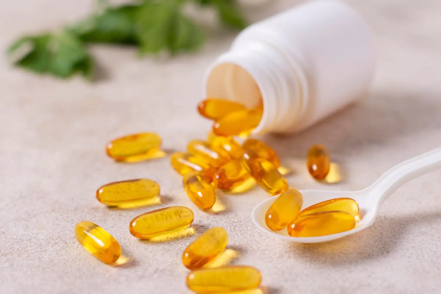 Quel aliment est le plus riche en vitamine B12 ?