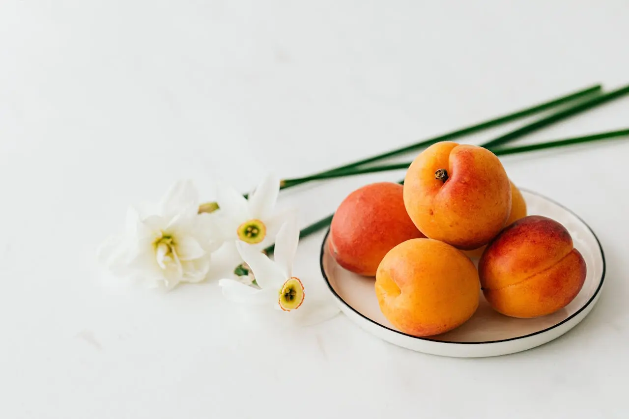 Recette de Compote d'Abricots Sans Sucre