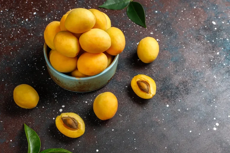 Recette de Compote de Mirabelles Sans Sucre