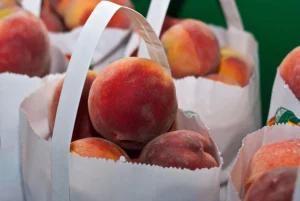 Compote de Pêches Sans Sucre : La Recette Délicieuse et Facile !