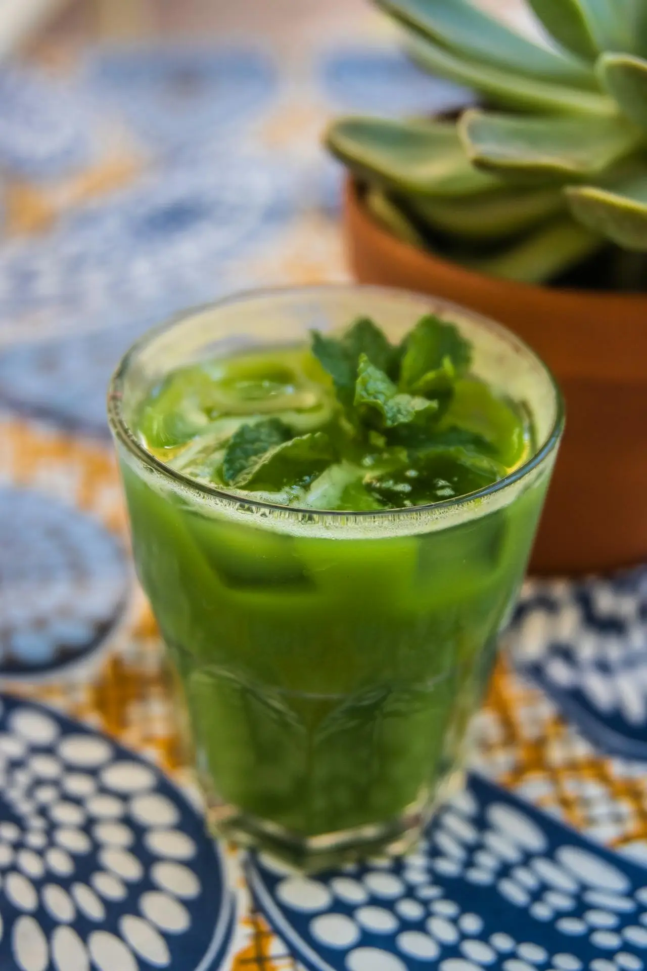 Recette Sirop de Menthe Sans Sucre